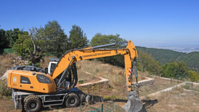 SÜMEYYENUR ALP – TEKHA Yiğitali