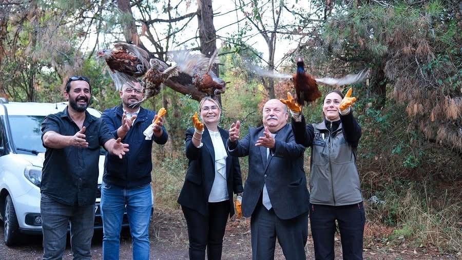 Yalova’nın Altınova ilçesi, doğa